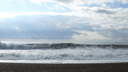 Orion Marine Concepts | Best Maritime ERP Software